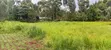 Land for Sale in Kapsoit, Kericho County - 4