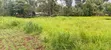 Land for Sale in Kapsoit, Kericho County - 5