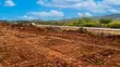 Commercial 50x100 Plot for Sale, Karai - 5