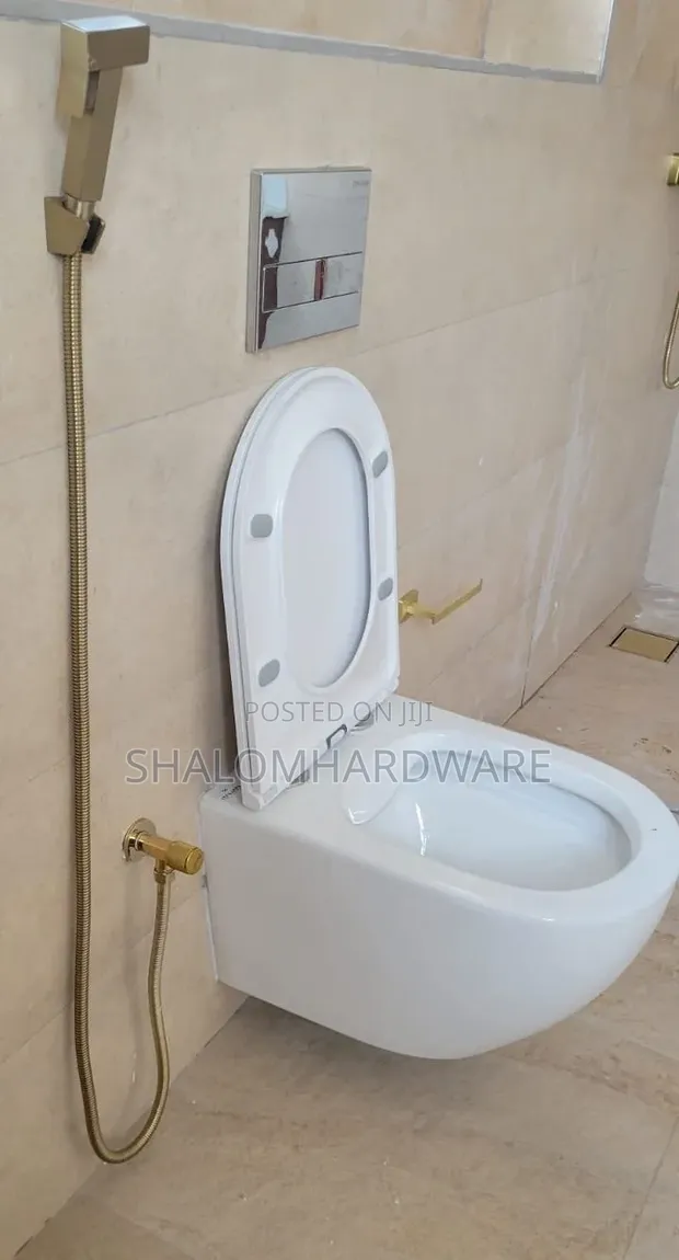 Premier Wall Hung Toilet with Concealed Cistern - 1