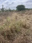 1 Acre Land for Sale, Prime Location Near Mombasa Road - 3
