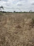 1 Acre Land for Sale, Prime Location Near Mombasa Road - 4