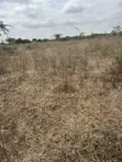 1 Acre Land for Sale, Prime Location Near Mombasa Road - 5