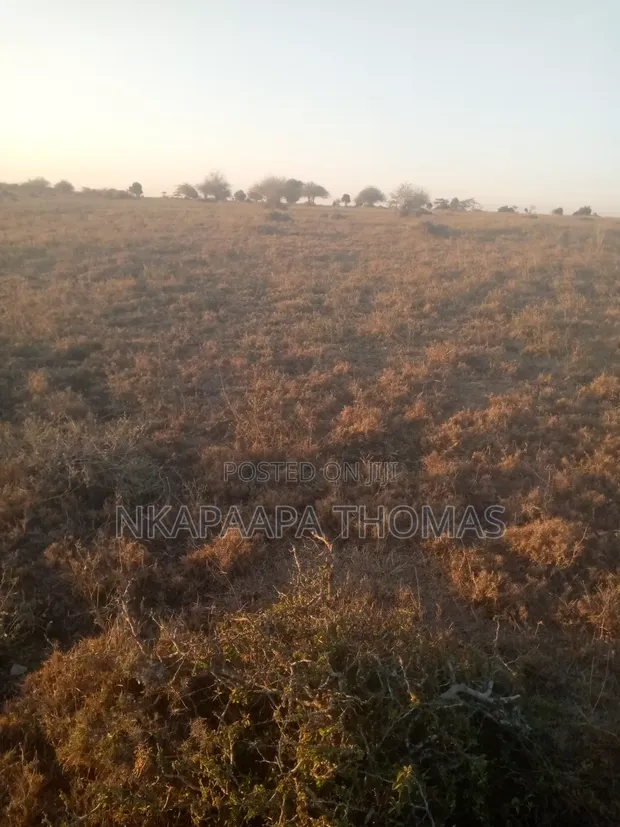 Land for Sale Bordering Nairobi National Park, Athi River - 1
