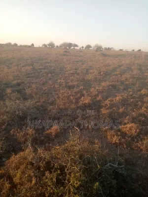 Land for Sale Bordering Nairobi National Park, Athi River