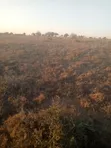 Land for Sale Bordering Nairobi National Park, Athi River - 1