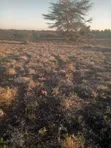 Land for Sale Bordering Nairobi National Park, Athi River - 2