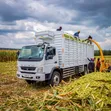 Mitsubishi Fuso FI Truck - Brand New - 3