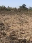 Eneo la Ekari 3 kwa Uuzaji Tuala - 2