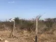 Eneo la Ekari 3 kwa Uuzaji Tuala - 3