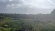 Kitalu cha 50x100 kinauzwa Karai, Kikuyu - 2