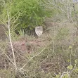 Ganze Malindi 300 Acres Land for Sale - 2