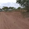 Ganze Malindi 300 Acres Land for Sale - 4