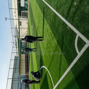 Robertson's Football Pitch Grass Carpet