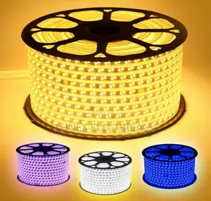 Double Row High Voltage LED Flexible Strip Light