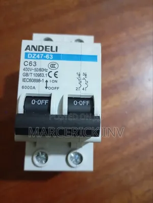 Andeli Double Pole Circuit Breaker C63