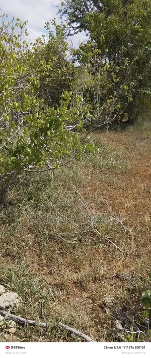 Baricho Dakacha Malindi Eka 344