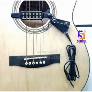 Neo Acoustic Guitar Pickup System