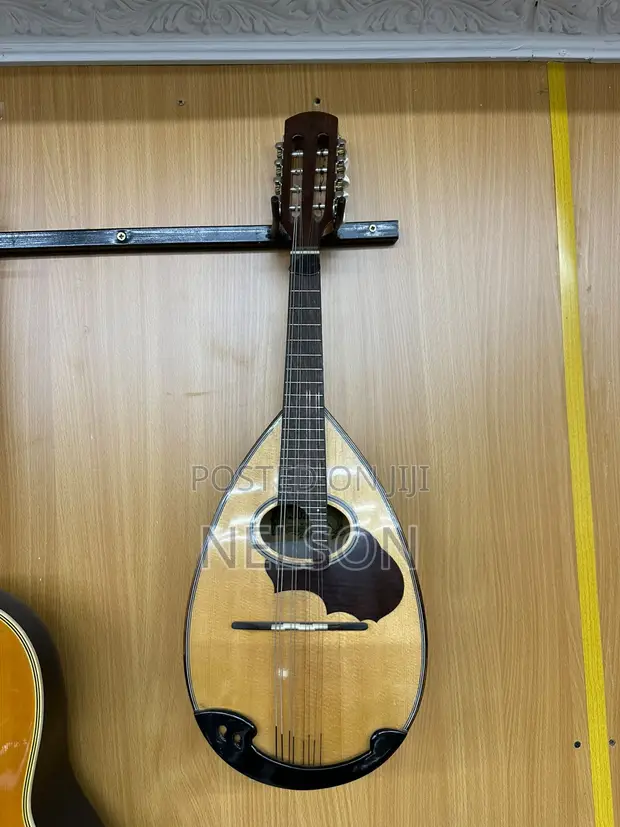 Suzuki Mandolin - 1