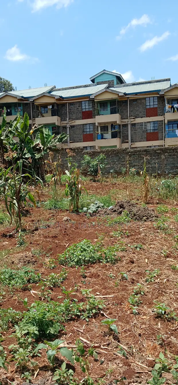 1/4 Acre Land for Sale in Thogoto, 100m from Dagoreti Road - 1