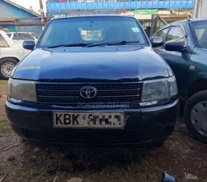 Toyota Probox 1.5 DX 2WD 2004 Bluu