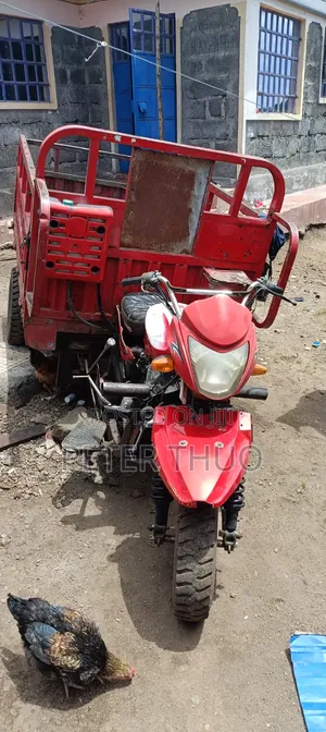 Skygo Cargo Tuk-Tuk 2020 Nyeusi