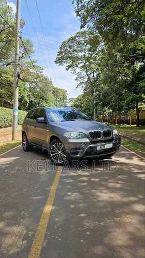 BMW X5 xDrive30i AWD 2010 Gray