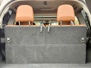 Toyota Land Cruiser Prado 2.8 2021 Kahawia