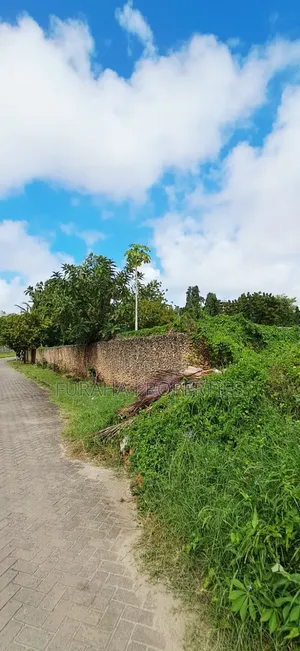 Eneo Bora la Eka 1 Kibiashara Linauzwa, Links Road Nyali