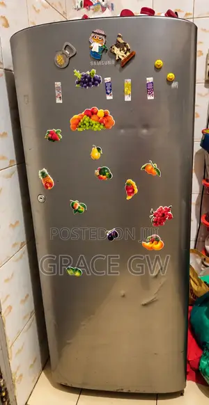 Friji la Samsung RR2300HCBSA Linauzwa