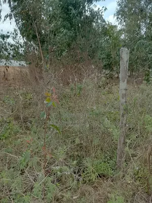 Prime 1/2 Acre Land on Bogani Road, Karen