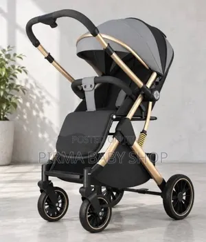 Burbay 2-in-1 Stroller