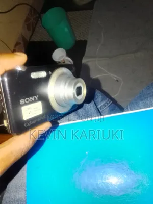 Sony DSC-W710 Digital Camera