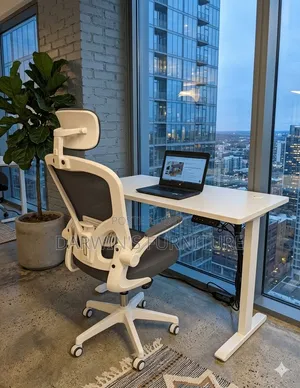 Adjustable Electric Standing Desk and Chair