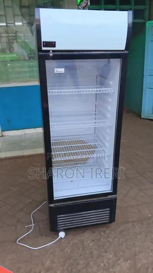 Ramtons Showcase Cooler CF/201 250L - As Good as New