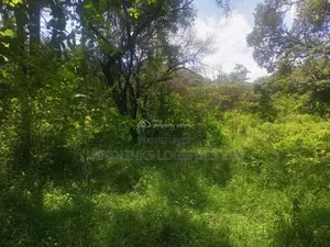 5 Acres Mixed-Use Land for Sale in Karen Miotoni