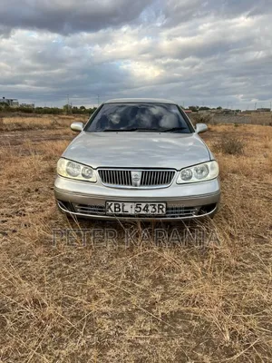 Nissan Bluebird 2005 Gray