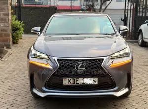Lexus NX 2014 Kijivu