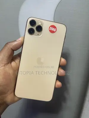 Apple iPhone 11 Pro Max 256GB Dhahabu