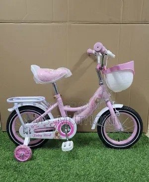 DreamRide Pink Kids Bicycle (Ages 2-5)