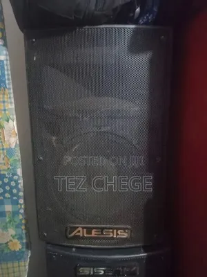 Alesis Sound System with 2 Speakers