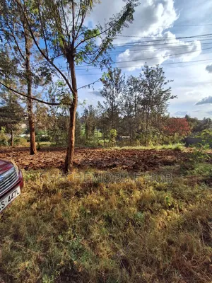 1 Acre Land for Sale in Nairobi, Maziwa Estate