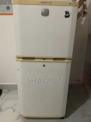 LG Fridge Milango Miwili