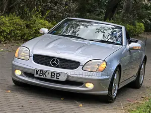 Mercedes-Benz SLK-Class 2003 Fedha