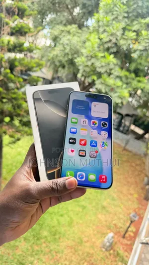 Apple iPhone 16 Pro Max 256GB Grey