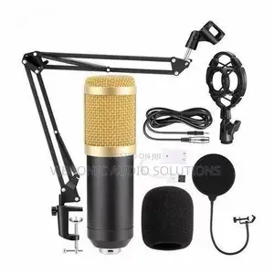 BM-800 Professional Condenser Microphone