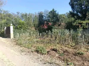 Prime Milimani Property for Sale, Nakuru