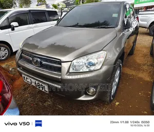 Toyota RAV4 2.5 SUV 2011 Grey