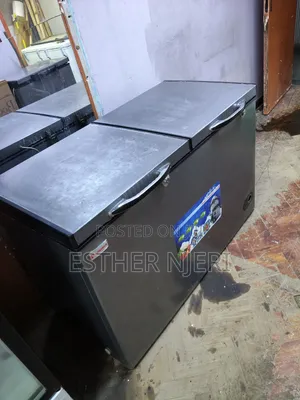 Premier Freezer ya Kifua 450L Halisi