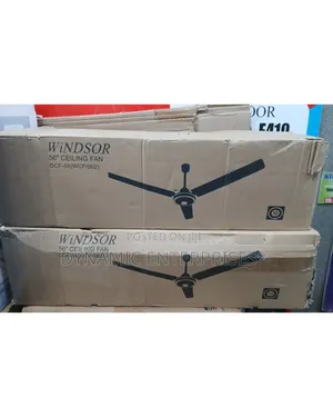 Windsor 56" Kipasua dari chenye Blades 3 za Metal